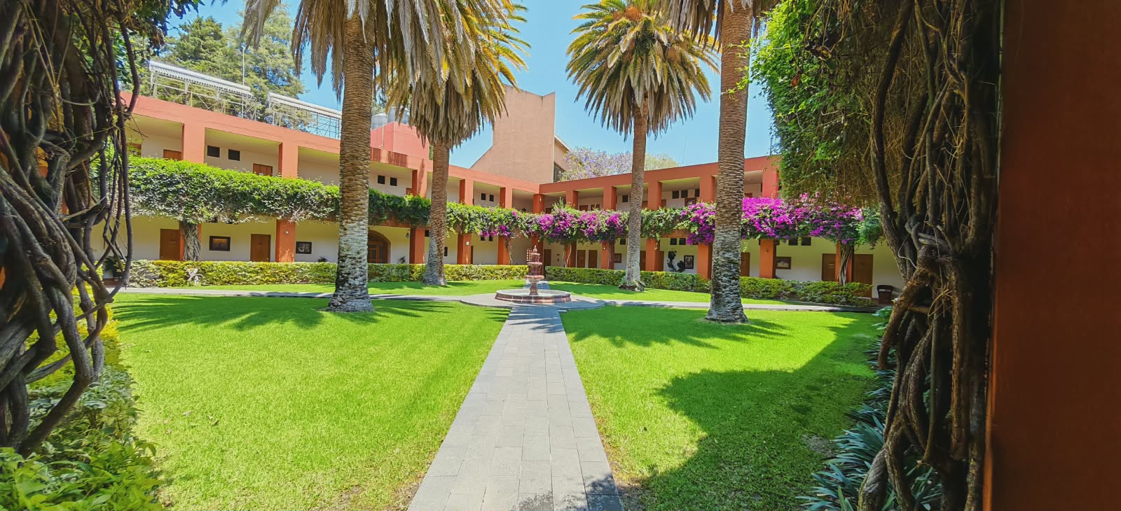 Patio con fuente y palmeras de la casa de retiro